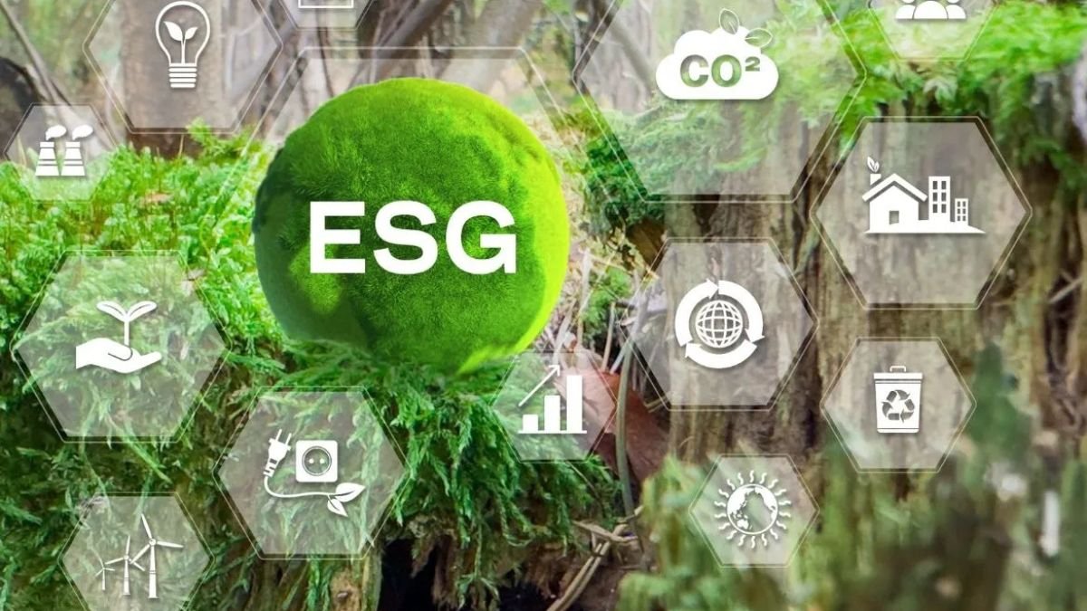 ESG Careers Explained Salary, Skills & Job Growth