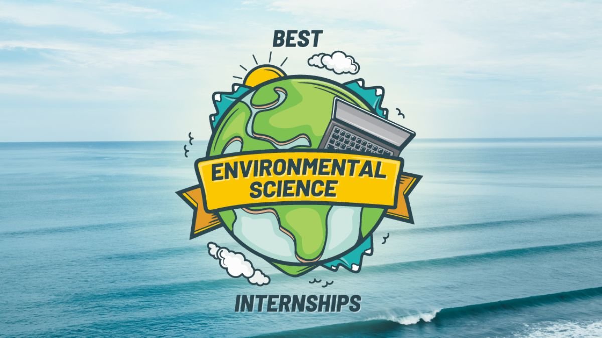 How to Get an Internship in Environmental Organizations